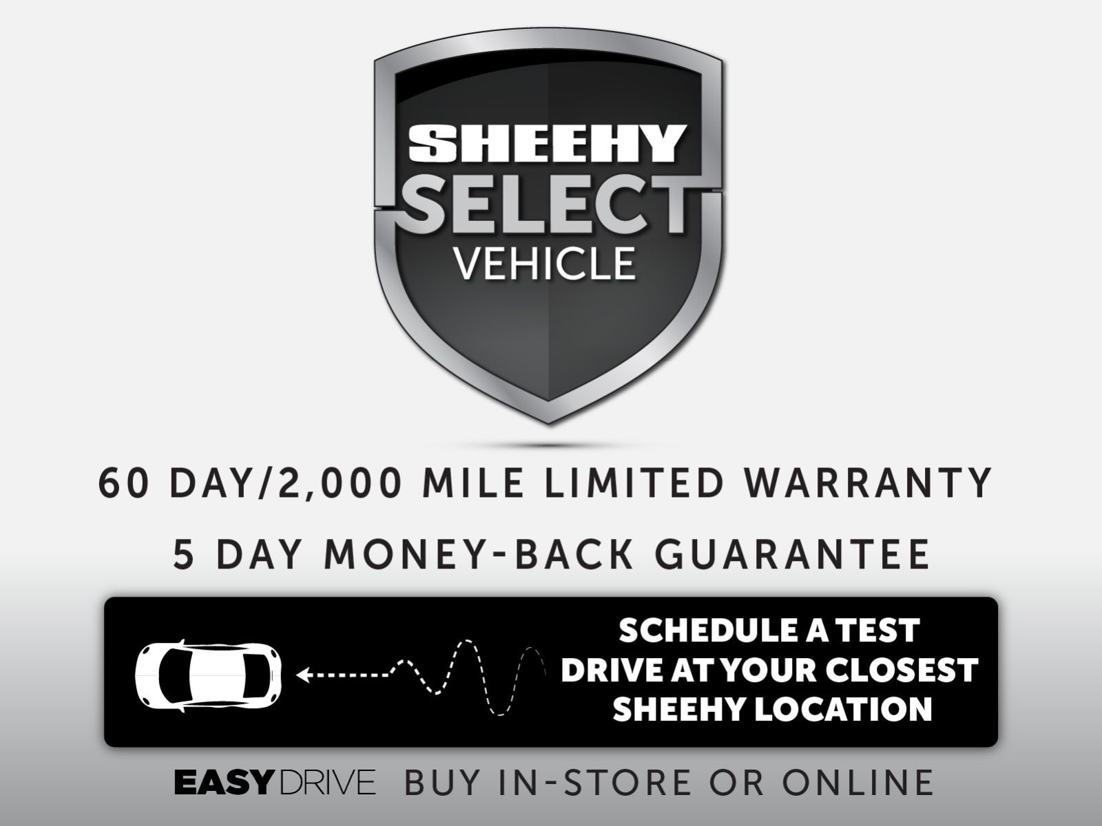 Used 2024 Gray Volkswagen 1.5T Sport image 4