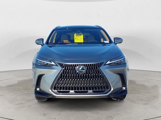 2026 Lexus NX 450h+ Luxury - Photo 8