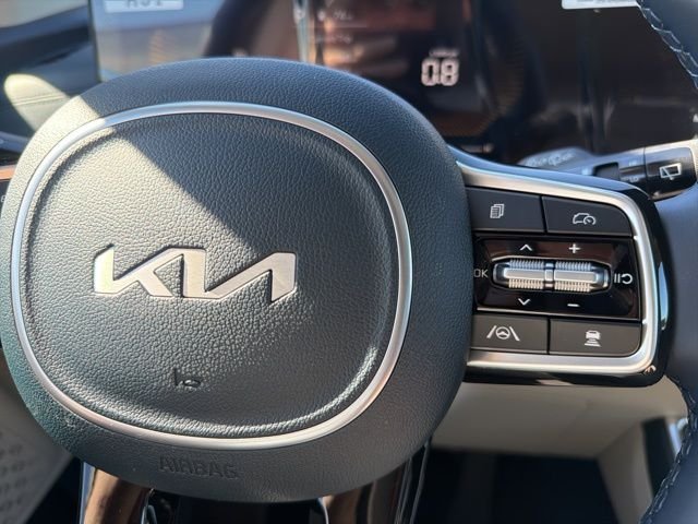 New 2026 Panthera Metal Kia EX image 26