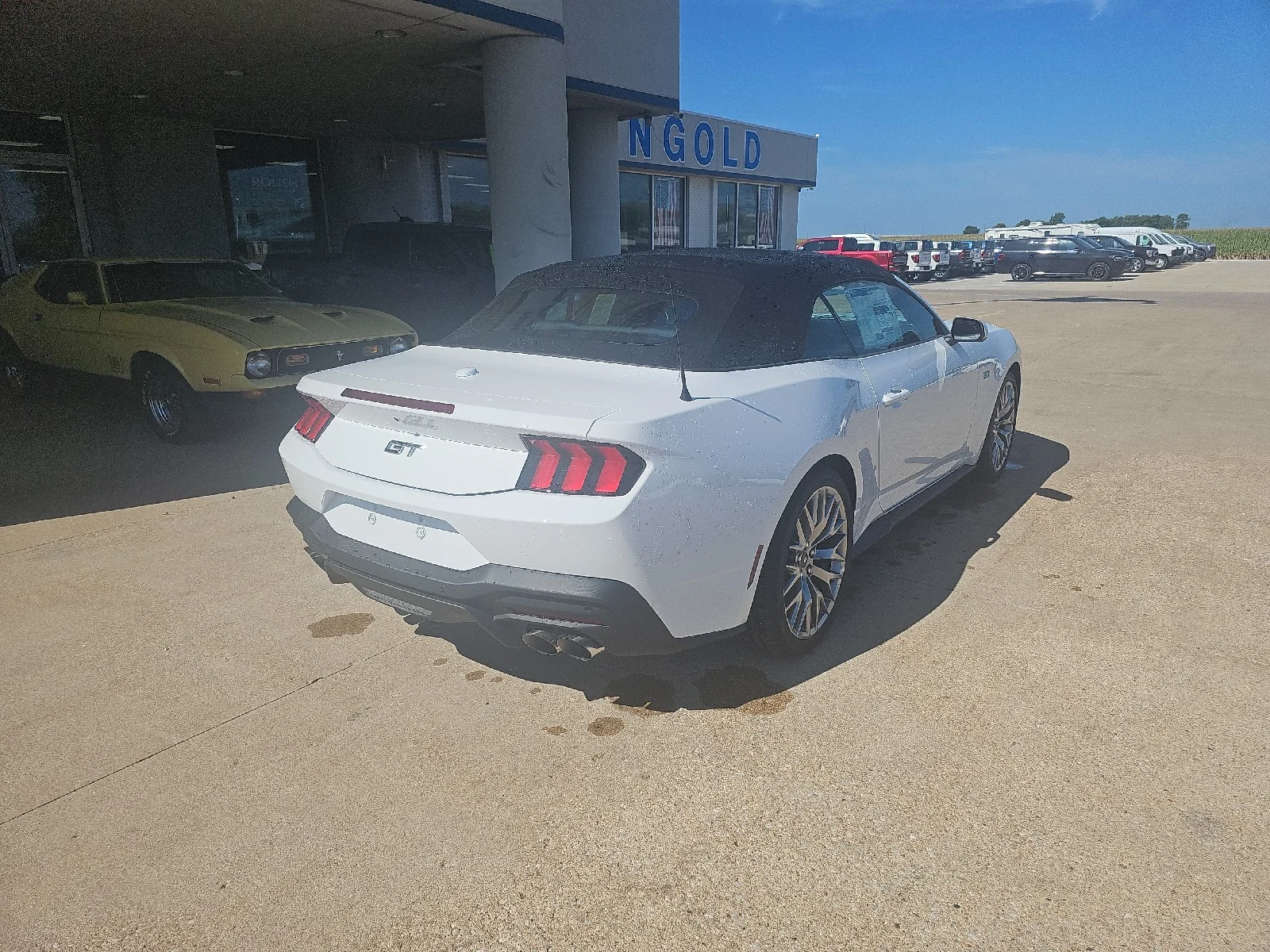New 2026 Oxford White Ford GT Premium Convertible image 8