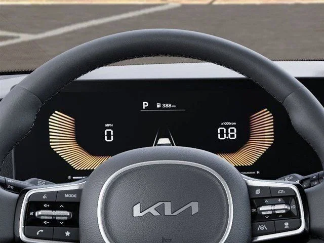 New 2026 Panthera Metal Kia EX image 21
