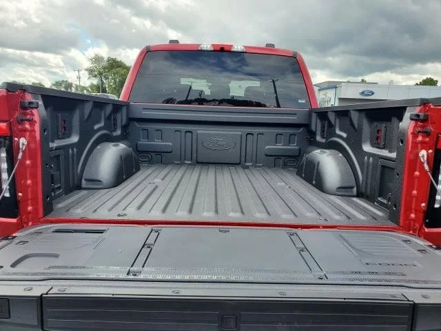 2025 Ford F-150 Lightning Flash - Photo 10
