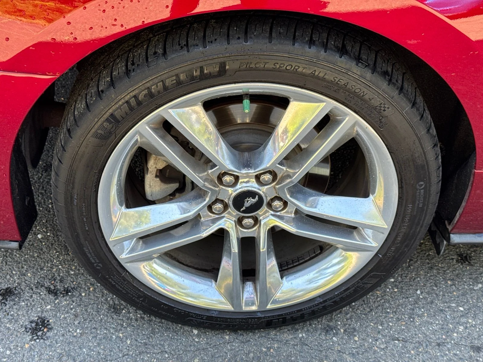 Used 2018 Red Ford EcoBoost Premium image 16