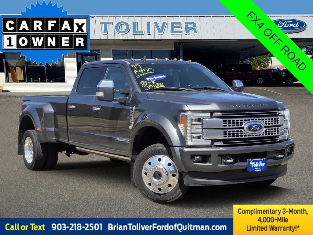 Used 2019 Magnetic Ford Platinum image 1