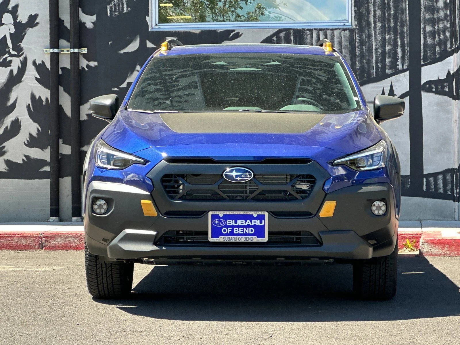 New 2026 SAPPHIRE BLUE PEARL Subaru Wilderness image 9