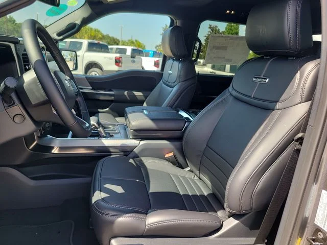 New 2026 Gray Metallic Ford Platinum image 19