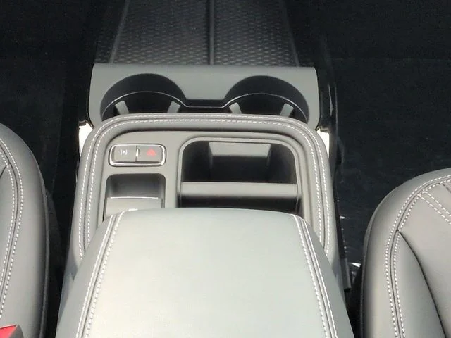 New 2026 Shadow Black Ford Premium image 19