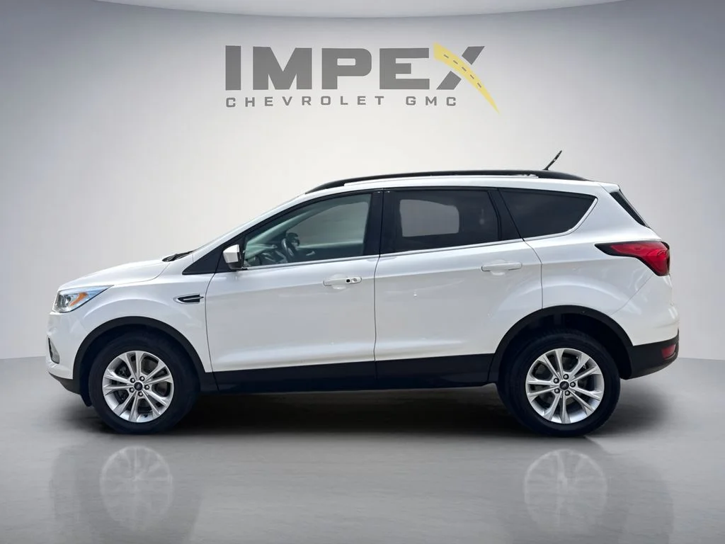 Used 2019 White Ford SEL image 2