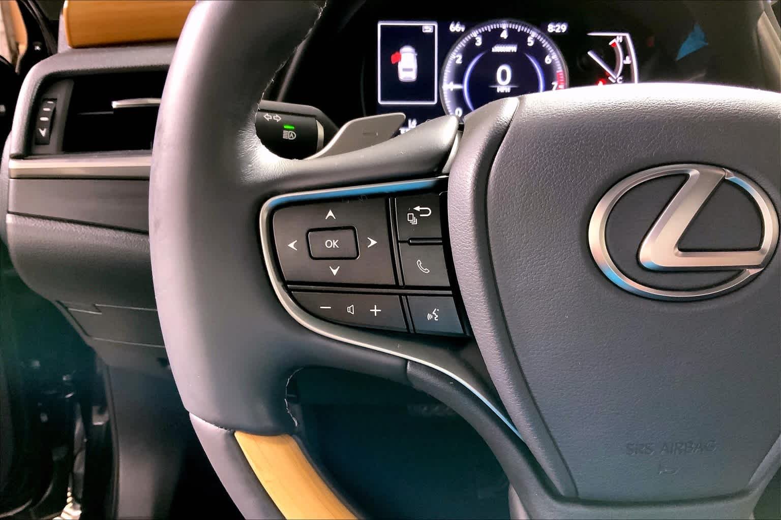 Used 2019 Caviar Lexus Luxury image 23