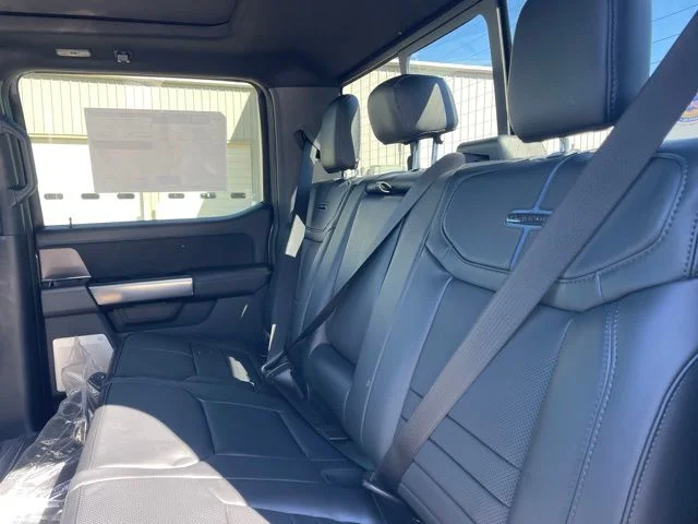 New 2026 Carbonized Gray Metallic Ford Platinum image 9
