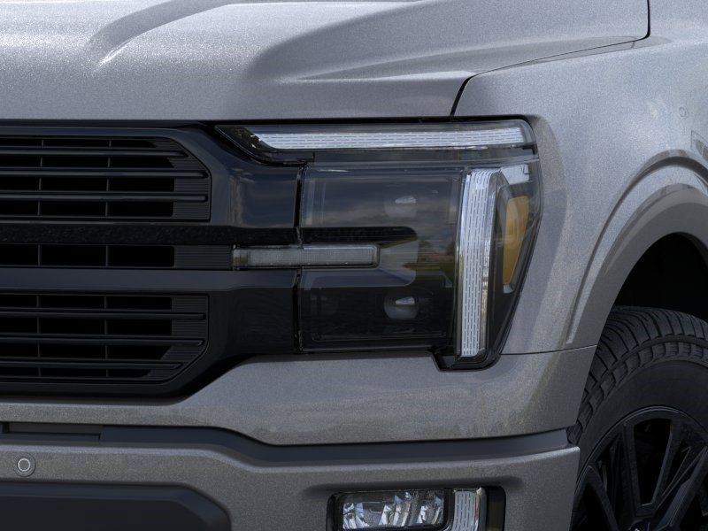 New 2026 Carbonized Gray Metallic Ford Platinum image 18