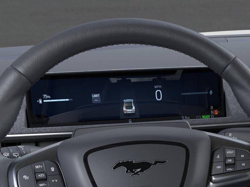 New 2025 Shadow Black Ford Premium image 13