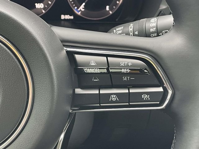 2026 Mazda CX-90 Premium Package - Photo 25