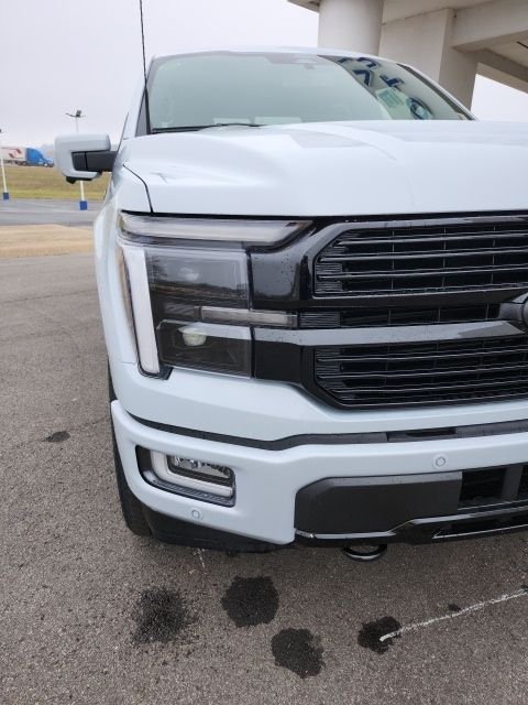 2025 Ford F-150 Platinum - Photo 29