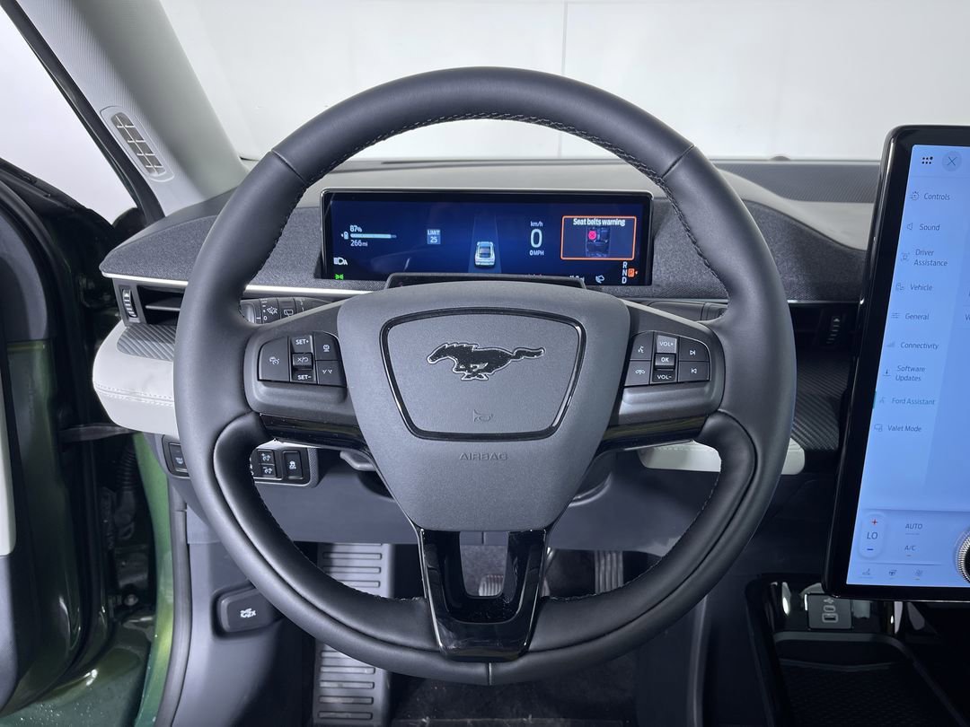 New 2026 Eruption Green Metallic Ford Premium image 16