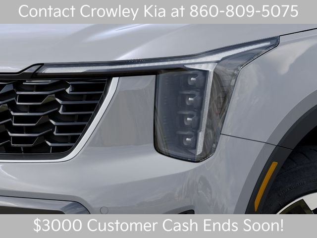 New 2026 Wolf Gray Kia S image 10