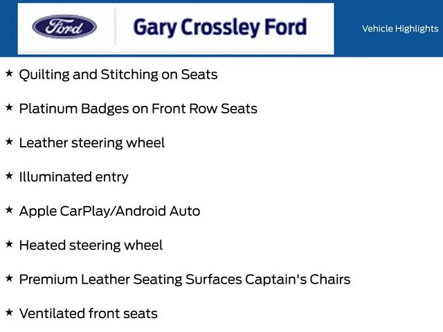 New 2026 Agate Black Metallic Ford Platinum™ image 19