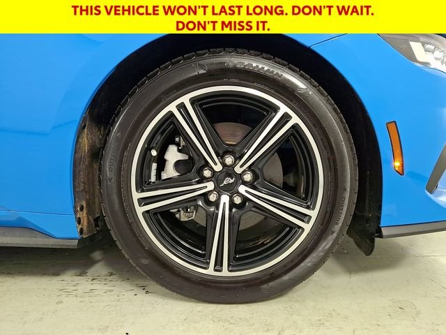 Used 2024 Blue Ford EcoBoost Premium image 12