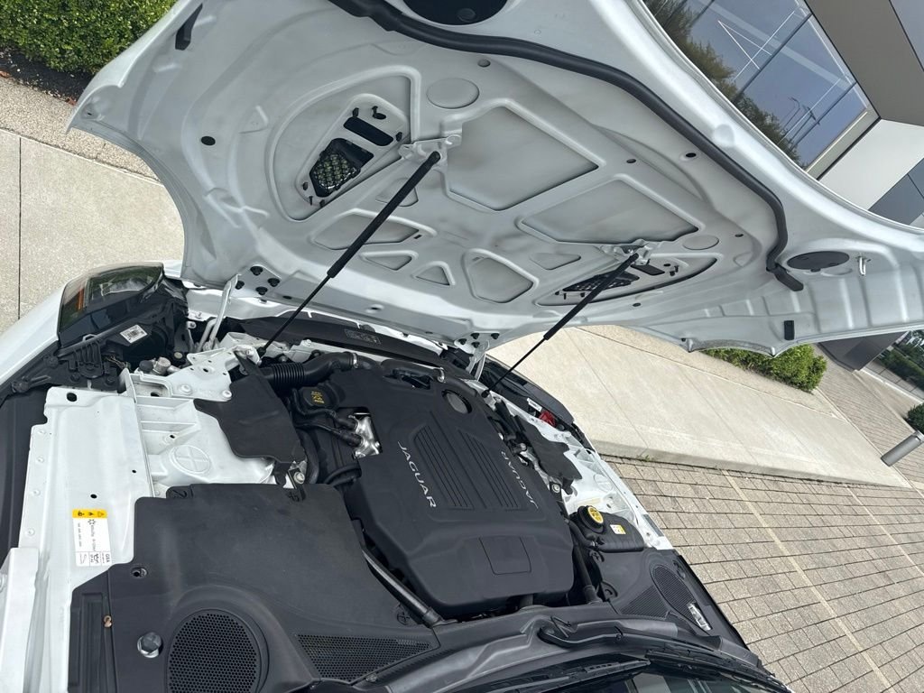 Used 2016 Polaris White Jaguar S image 17
