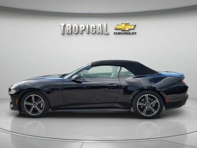 Used 2024 Black Ford EcoBoost image 2