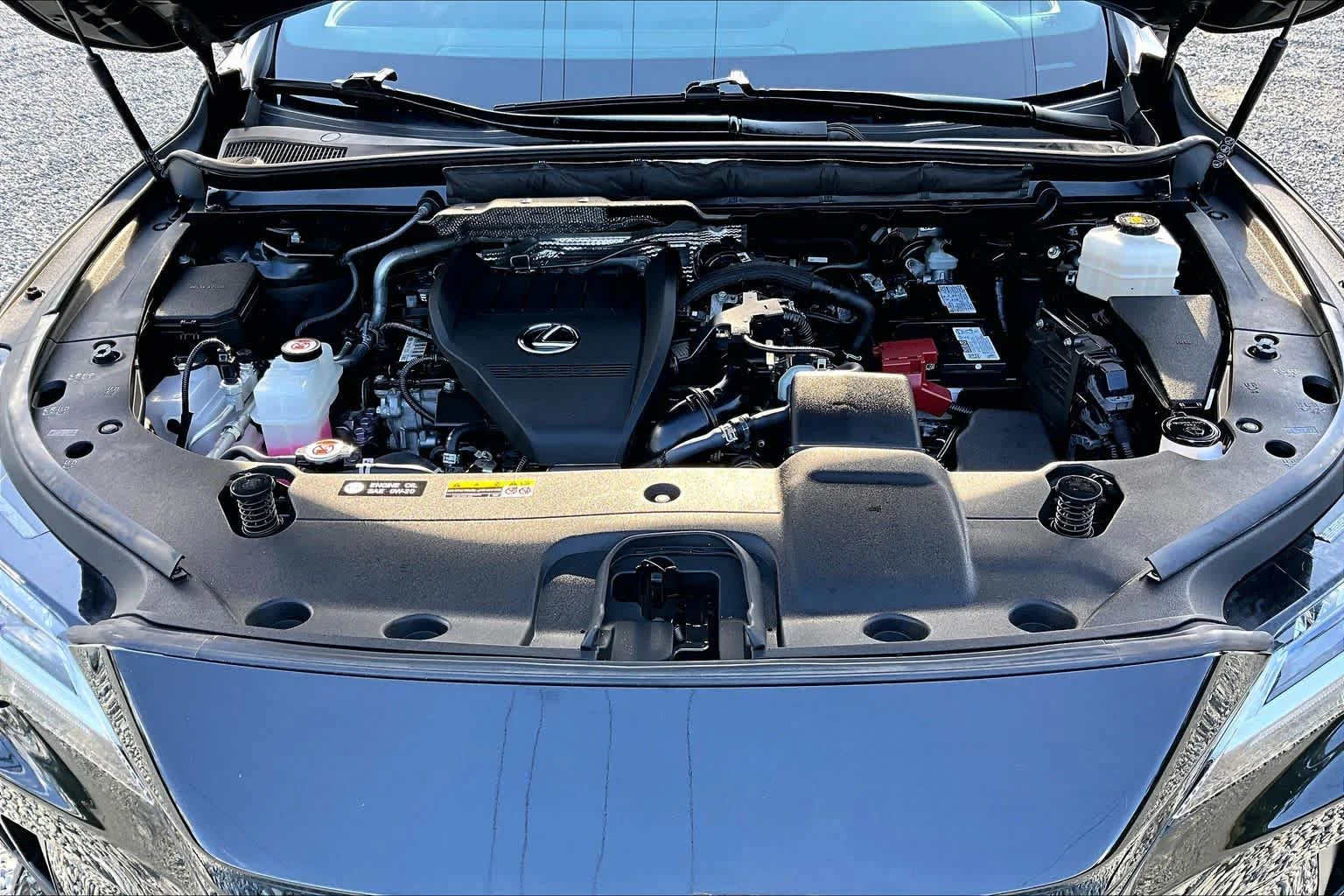Used 2024 Caviar Lexus Premium image 32