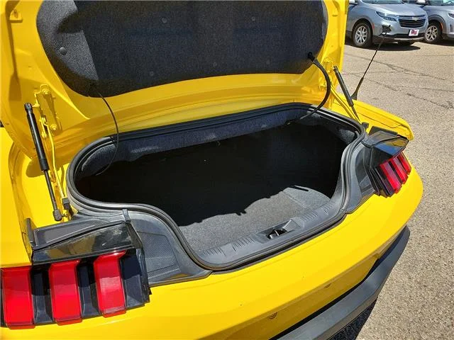 Used 2024 Yellow Splash Metallic Tri-Coat Ford EcoBoost Premium image 8
