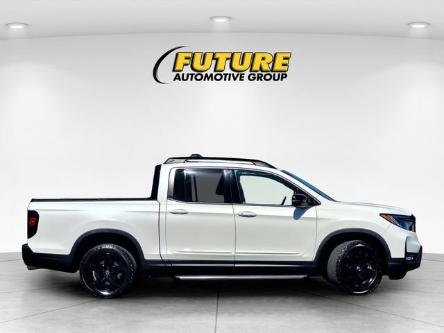 Used 2023  Honda Black Edition image 3