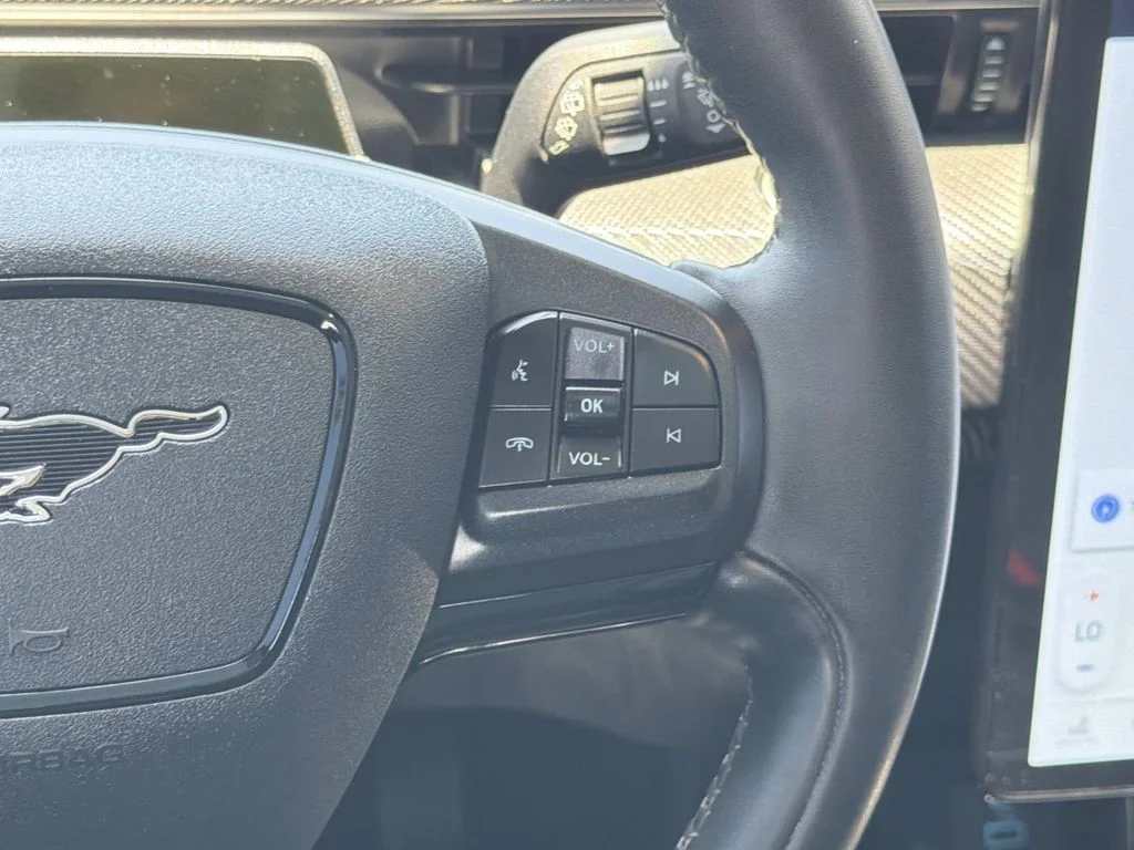 Used 2023 Carbonized Gray Metallic Ford Premium image 12