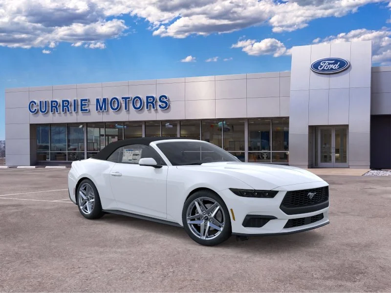 New 2026 Oxford White Ford EcoBoost image 7