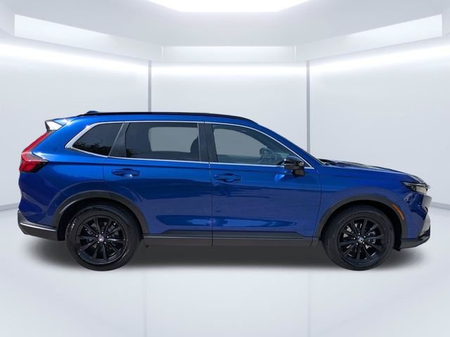 Used 2023 Blue Honda Sport image 3