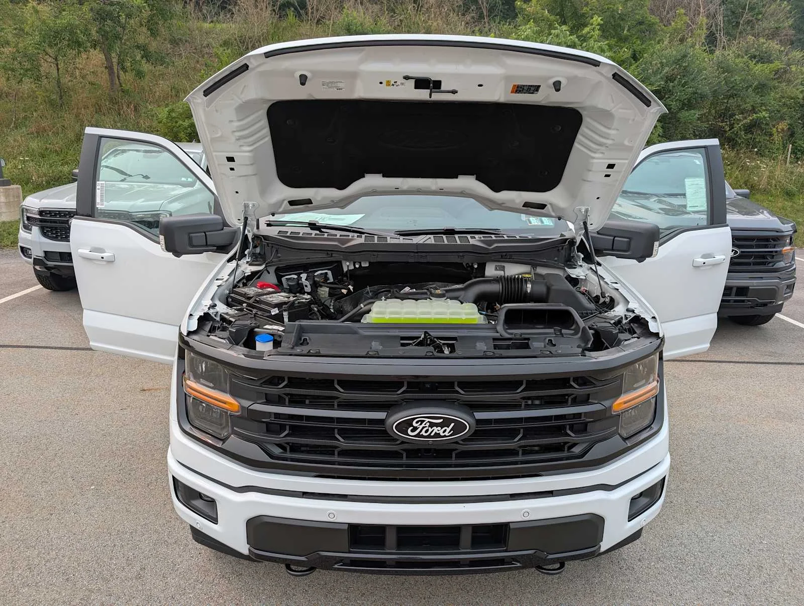 New 2026 Oxford White Ford XLT image 10