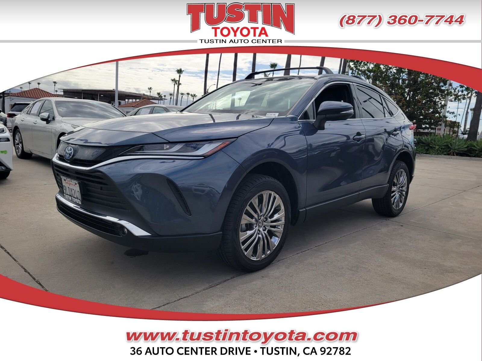 2024 Toyota Venza XLE Hybrid AWD's photo