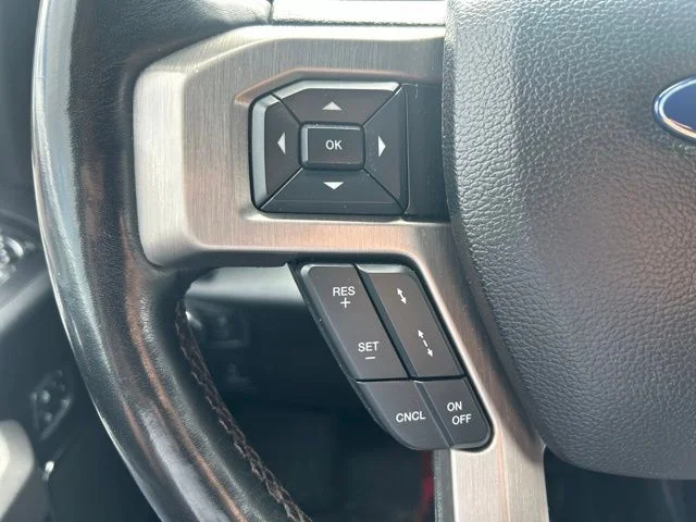 Used 2018 White Ford Platinum image 15