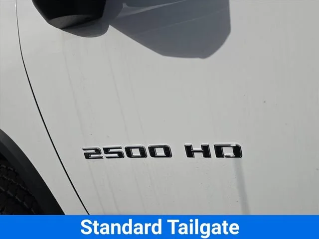 New 2025 Summit White Chevrolet WT image 24