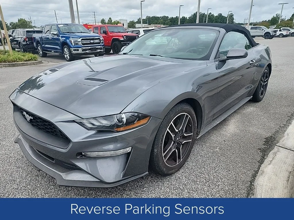 Used 2022 Gray Metallic Ford EcoBoost Premium image 4