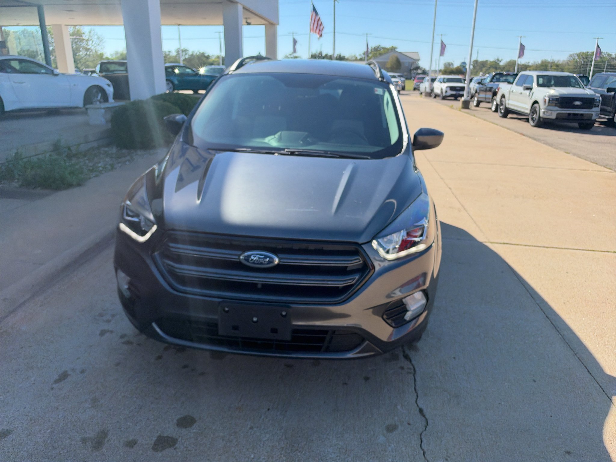 Used 2019 Magnetic Metallic Ford SEL image 3