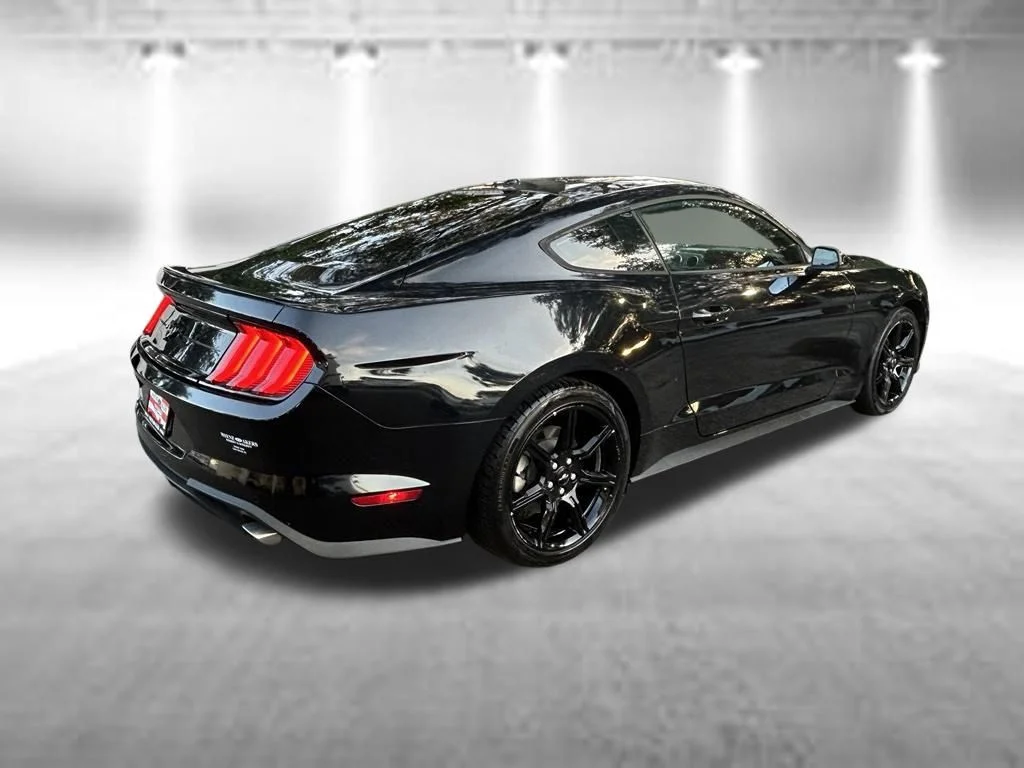 Certified Used 2019 Shadow Black Ford EcoBoost Premium image 4