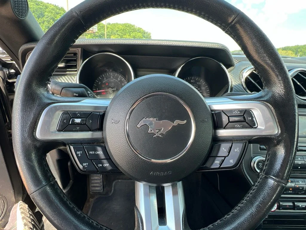 Used 2016 Black Ford V6 image 22