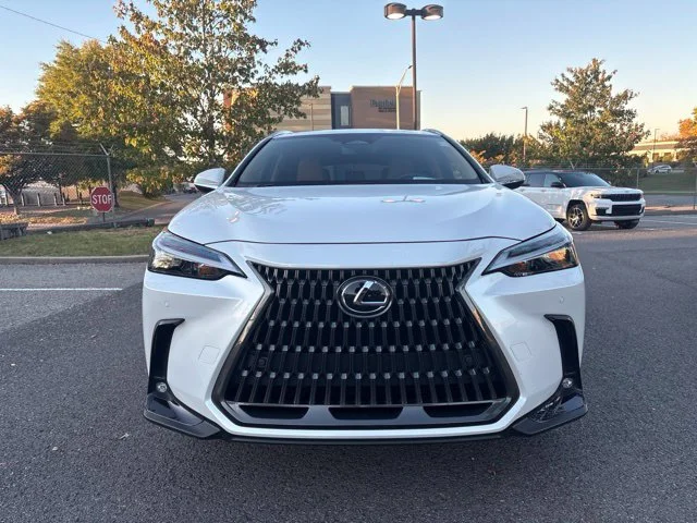 Used 2025 White Lexus 250 Premium image 10