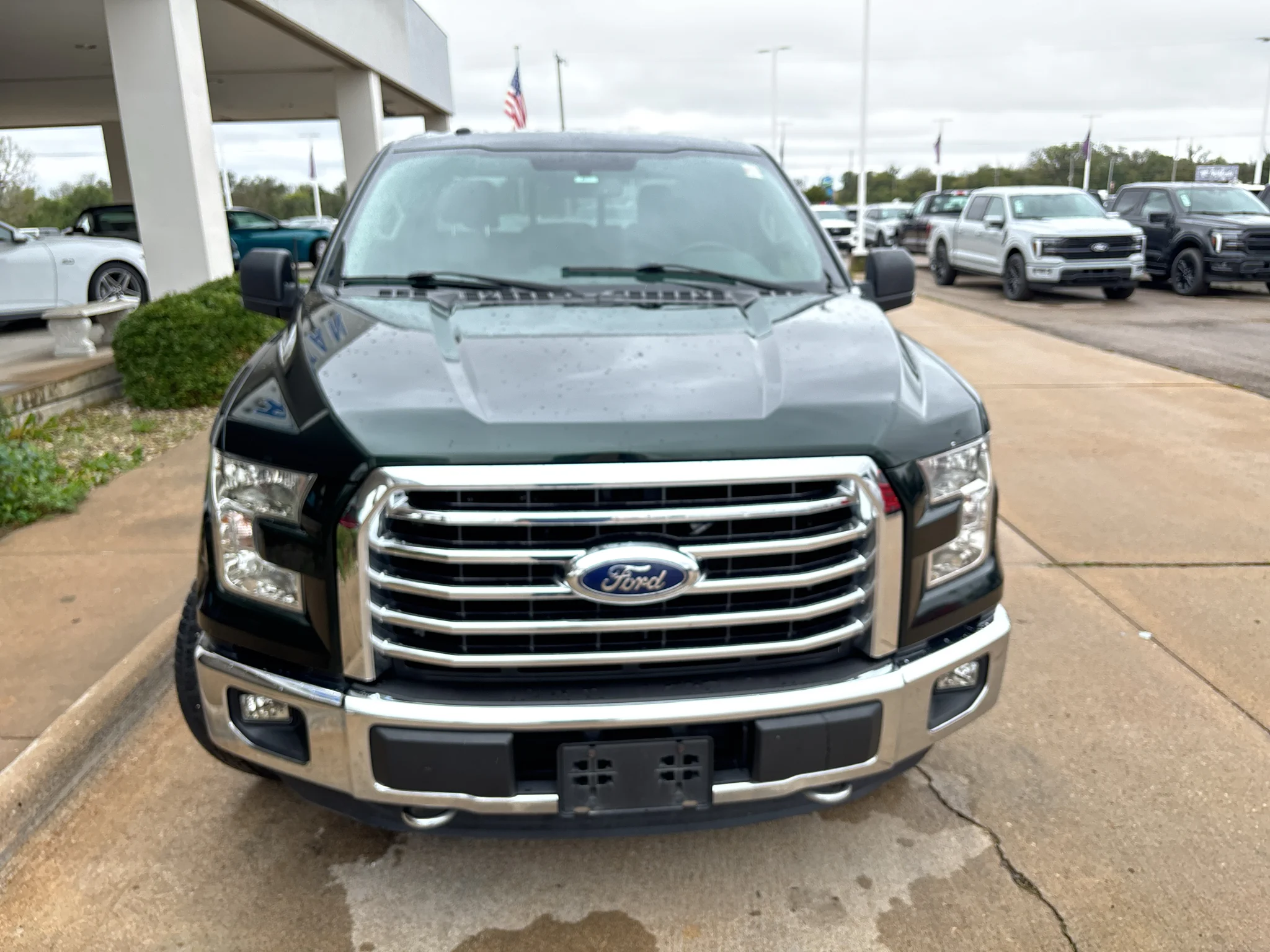Used 2015 Green Gem Metallic Ford XLT image 6