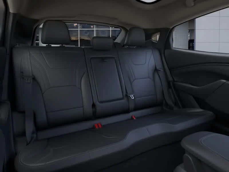 New 2026 Shadow Black Ford Premium image 15