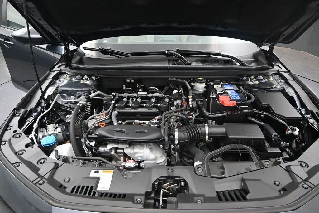 Used 2024  Honda LX image 12