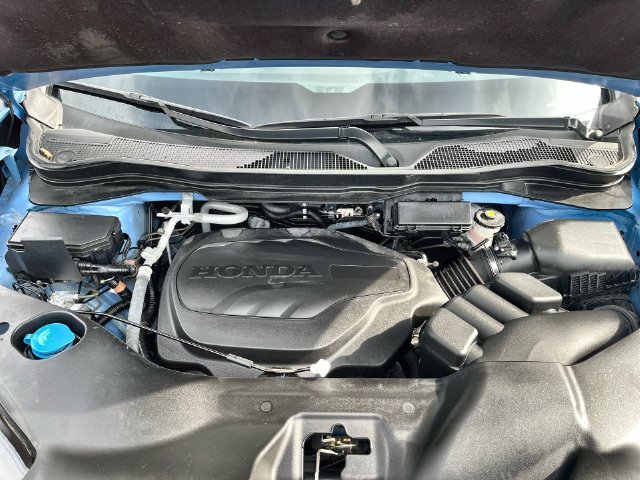 Used 2024 Blue Honda TrailSport image 27