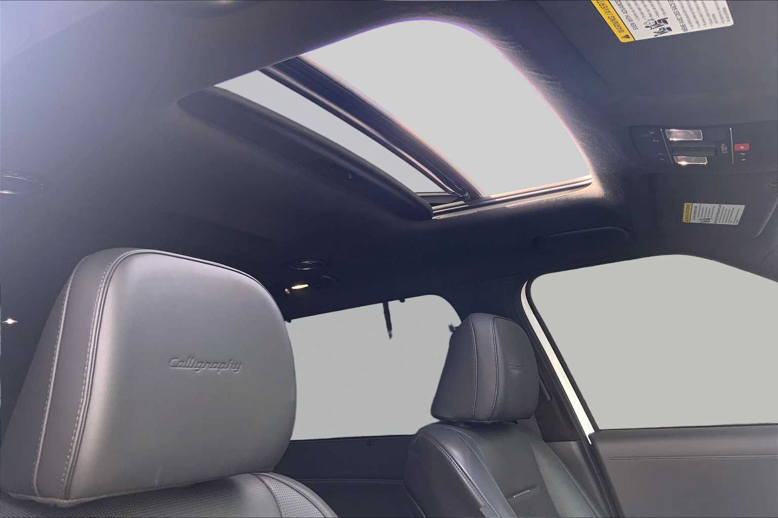2026 Hyundai Palisade Calligraphy - Photo 13