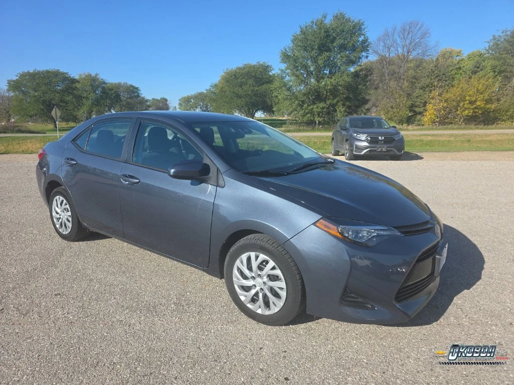 Used 2019 Toyota Corolla LE with VIN 2T1BURHE8KC246420 for sale in Spirit Lake, IA