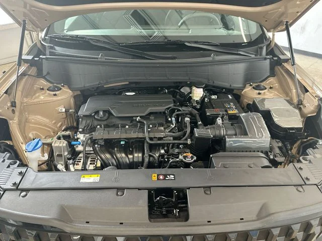 New 2027 Terrain Brown Kia X-Line S image 20