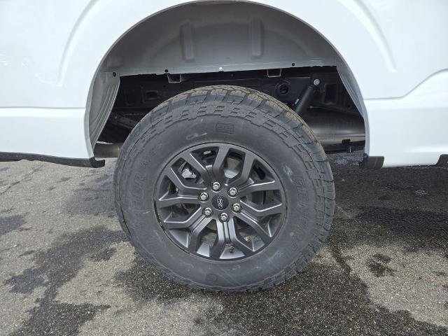 2025 Ford F-150 Tremor - Photo 23