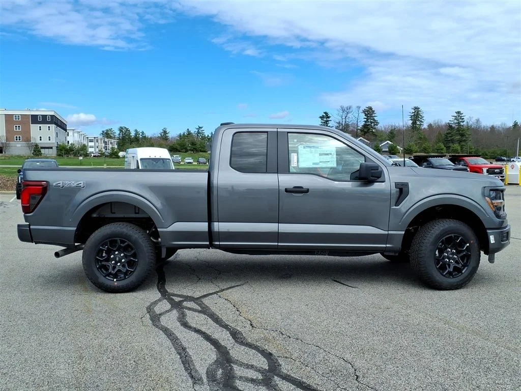New 2026 Gray Ford STX image 3