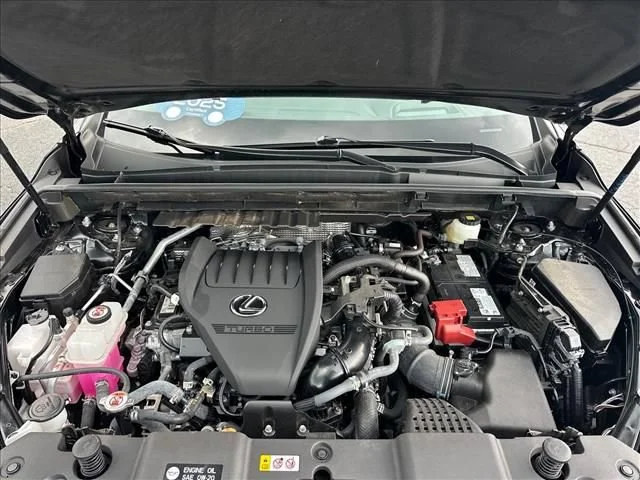 2025 Lexus NX 350 - Photo 33