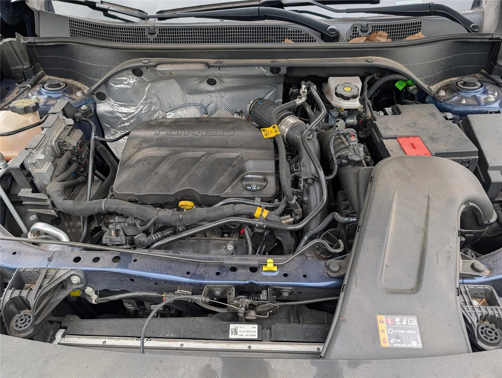Used 2024 Blue Glow Metallic Chevrolet LS image 32